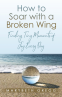 Cover Image: How to Soar With a Broken Wing