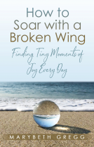 book cover for How to Soar With a Broken Wing