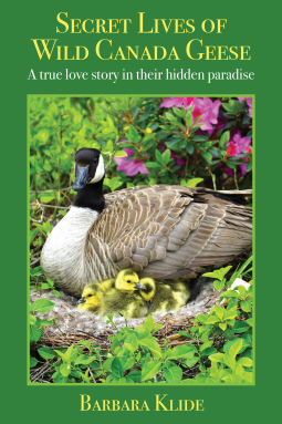 book cover for Secret Lives of Wild Canada Geese