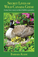 book cover for Secret Lives of Wild Canada Geese