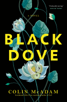 book cover for Black Dove