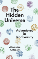 book cover for The Hidden Universe