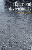 Couverture du livre pour L'Égarement des sentiments