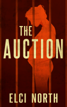 book cover for The Auction