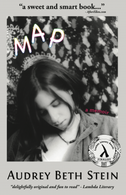 book cover for Map
