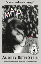 book cover for Map