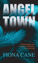 book cover for ANGEL TOWN