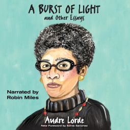 book cover for A Burst of Light