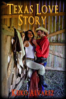 book cover for Texas Love Story