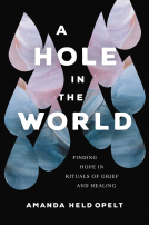 book cover for A Hole in the World