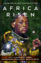 book cover for Africa Risen