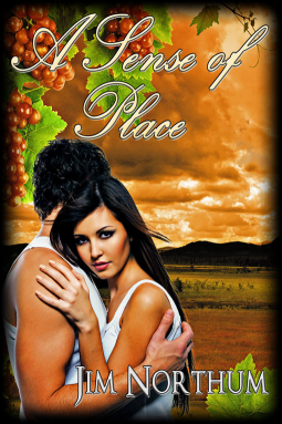 book cover for A Sense of Place