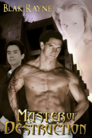 book cover for Master of Destruction