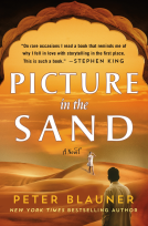 book cover for Picture in the Sand