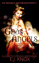 book cover for Gods & Angels