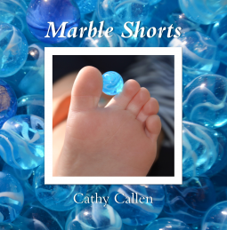book cover for Marble Shorts