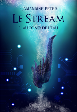 Couverture du livre pour Le Stream