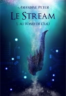 Couverture du livre pour Le Stream