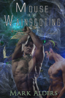 book cover for Mouse in the Wainscoting