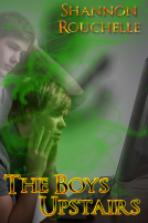 book cover for The Boys Upstairs