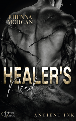 Buchcover für Healer's Need
