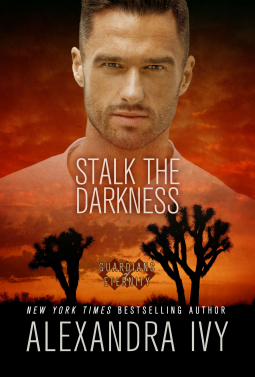 book cover for Stalk the Darkness
