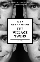 book cover for The Village Twins