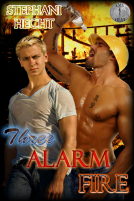 book cover for Three Alarm Fire