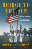 book cover for Bridge to the Sun