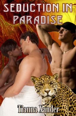 book cover for Seduction in Paradise