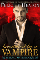 book cover for Bewitched by a Vampire