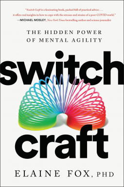 book cover for Switch Craft