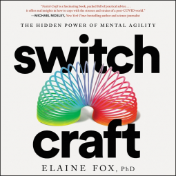book cover for Switch Craft