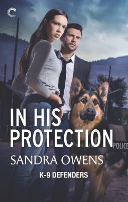 book cover for In His Protection