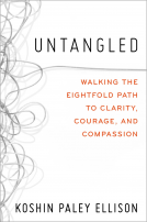 book cover for Untangled