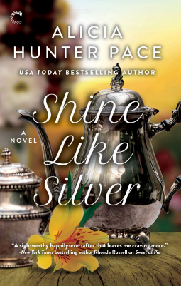 book cover for Shine Like Silver