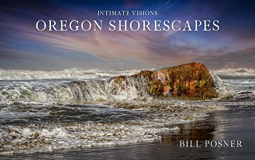 book cover for Intimate Visions
