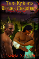 book cover for Two Knights Before Christmas