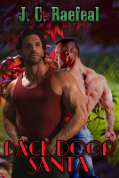 book cover for Backdoor Santa