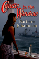 book cover for Candle in the Window