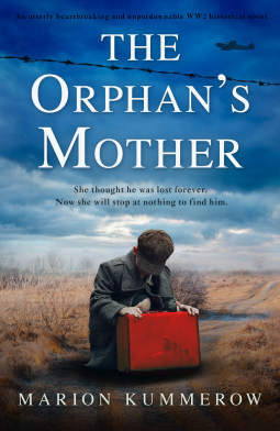 book cover for The Orphan's Mother