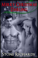 book cover for Merry Christmas Darling