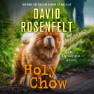 book cover for Holy Chow