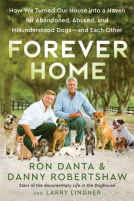 book cover for Forever Home