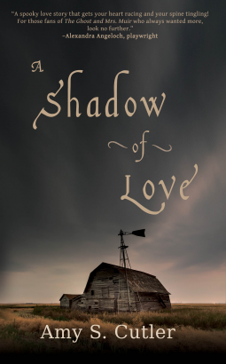 book cover for A Shadow of Love