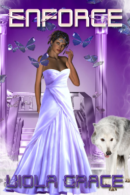 book cover for Enforce