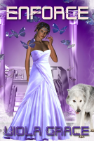 book cover for Enforce