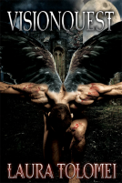 book cover for Visionquest