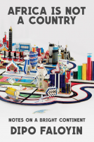 book cover for Africa Is Not a Country