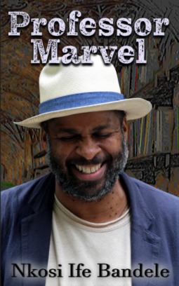 book cover for Professor Marvel